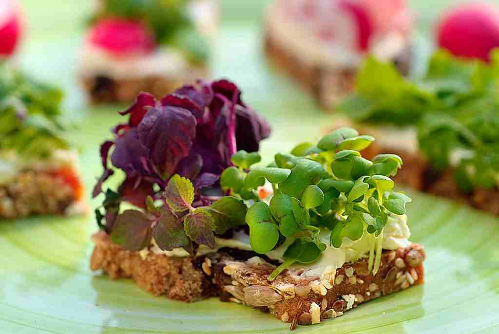 Fingerfood vegetarisch von Catering für Event in Köln Geburtstag Hochzeit Taufe Kommunion Vernissage Eröffnung